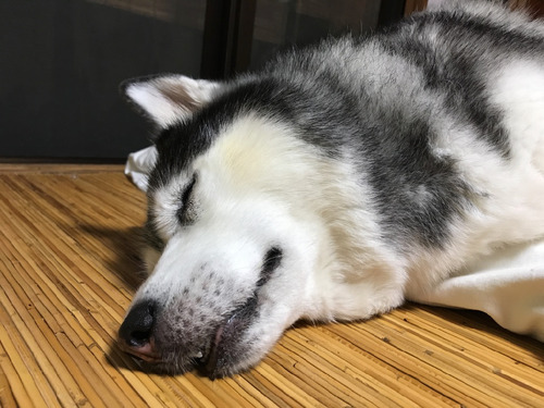 体調