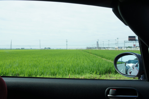 05今日も田園風景