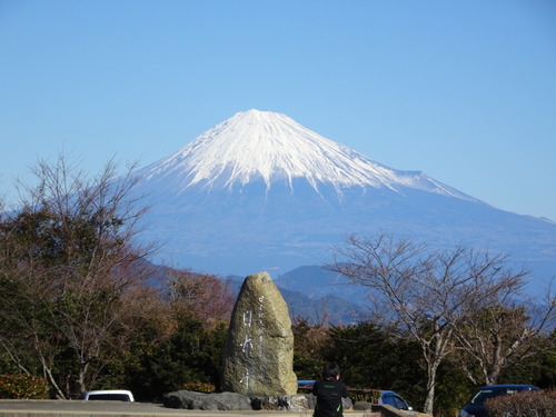 日本平からの富士山