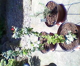 200508241458.jpg