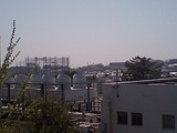 8e6d06ac.JPG