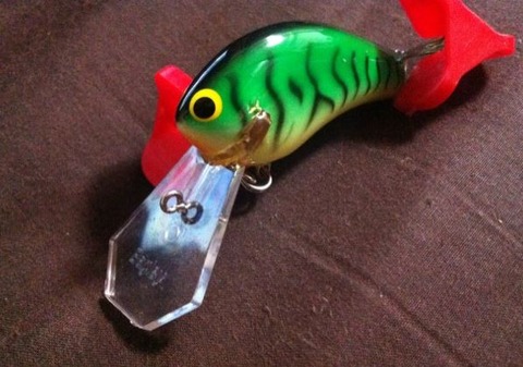 cophinlip