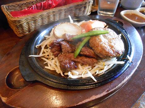 DSCN0411