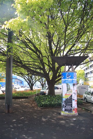 Wellington�����ʳ�ϩ����