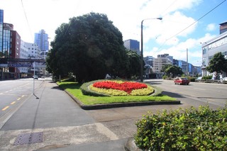 Wellington ���ʲ��š�