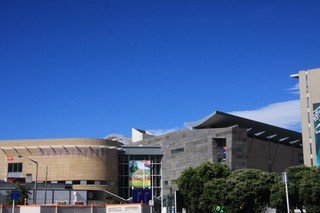 Wellington���ƥѥ�