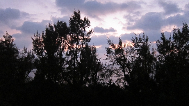 IMG_3368 IMG_3368