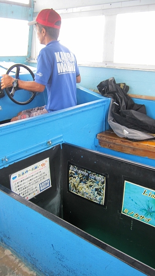 IMG_3231 IMG_3231