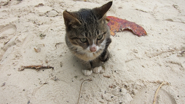 IMG_3215 IMG_3215