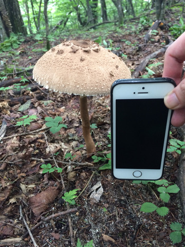 2015-09-13-14-38-12