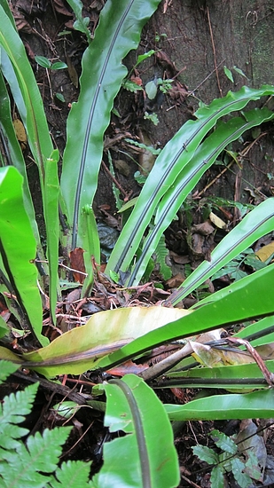 IMG_3329 IMG_3329