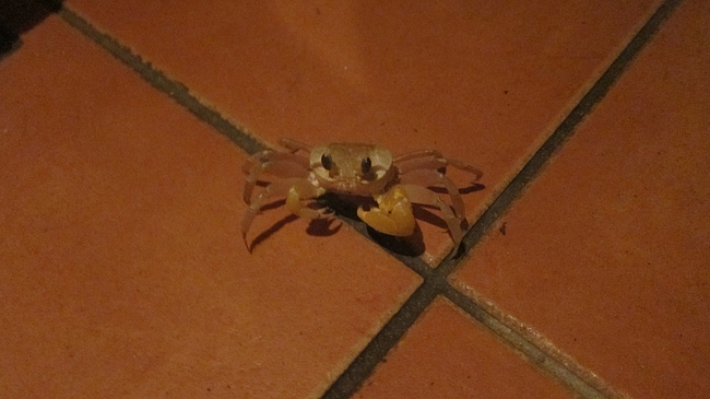 IMG_3378 IMG_3378
