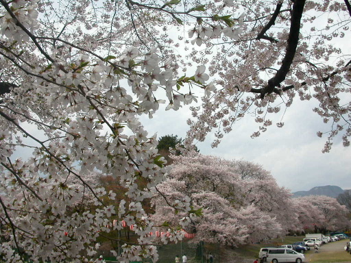 4月22日2