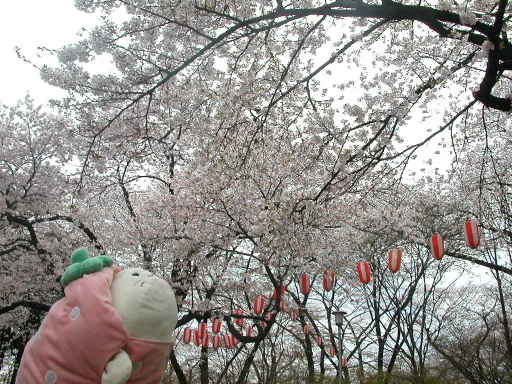 4月22日3