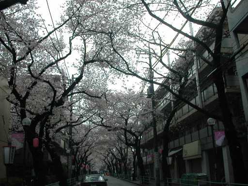 4月2日2