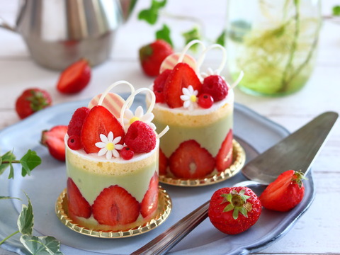 ★フェイクスイーツ★オブジェ★苺&ピスタチオムースのフレジェ風♪X'masケーキ ☆フェイクスイーツ☆オブジェ☆苺&ピスタチオムースのフレジェ
