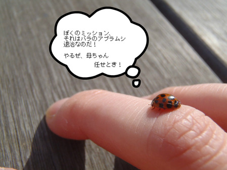 BlogPaint