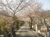 PICT0041