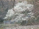 PICT0039