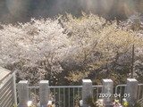 PICT0045