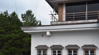 29-DSC_6517