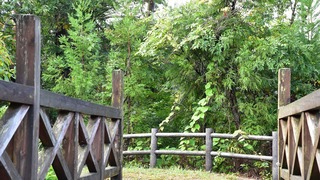 04-DSC_7816