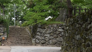 20-DSC_4246