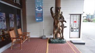14-DSC_6496