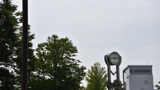10-DSC_4043