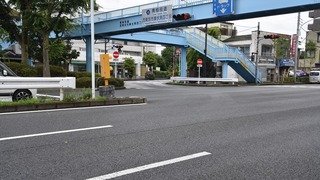 15-DSC_3119