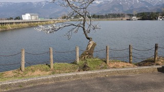 1-28DSC_1675