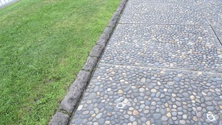 15-DSC_5867