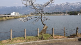 01-DSC_1675