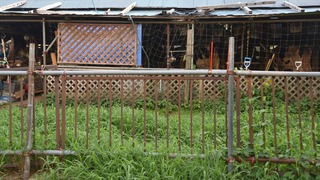 09-DSC_3555