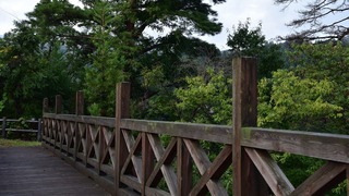 05-DSC_7818