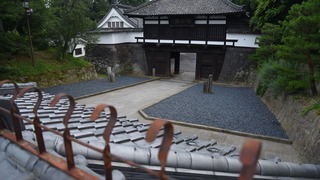 05-DSC_4568