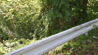 12-DSC_6040