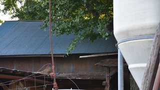 07-DSC_3551