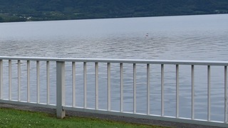 03-DSC_5866