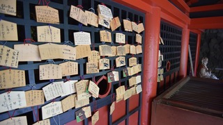 13-DSC_4180