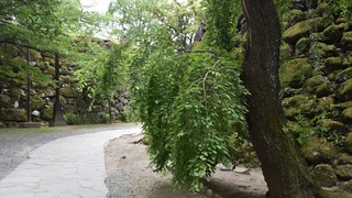 32-DSC_4296