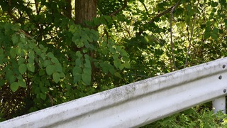 14-DSC_6043