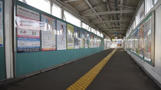 06-DSC_4502