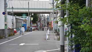 11-DSC_3200