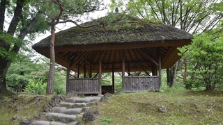 48-DSC_4420