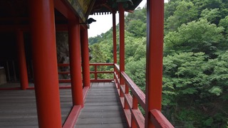 20-DSC_4204