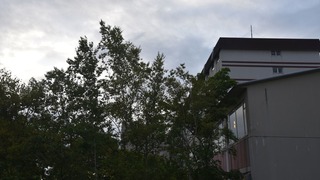 11-DSC_5872