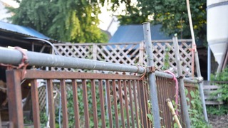 04-DSC_3546