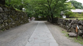 13-DSC_4253