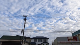 03-DSC_6658